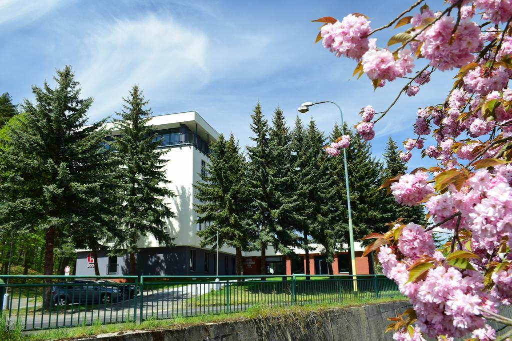 Parkhotel Carlsbad Inn Dalovice Exterior photo
